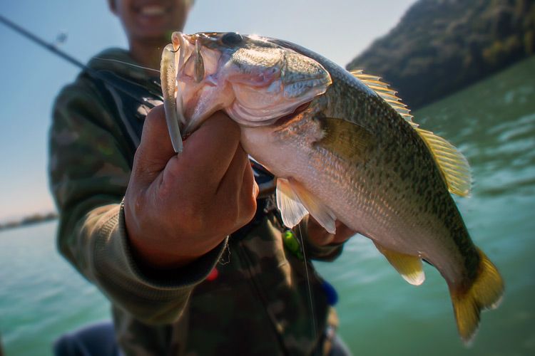 Pesca en barco en invierno: los mejores lugares para explorar